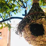 Casa Delle Rose In Centro Apartment Latina